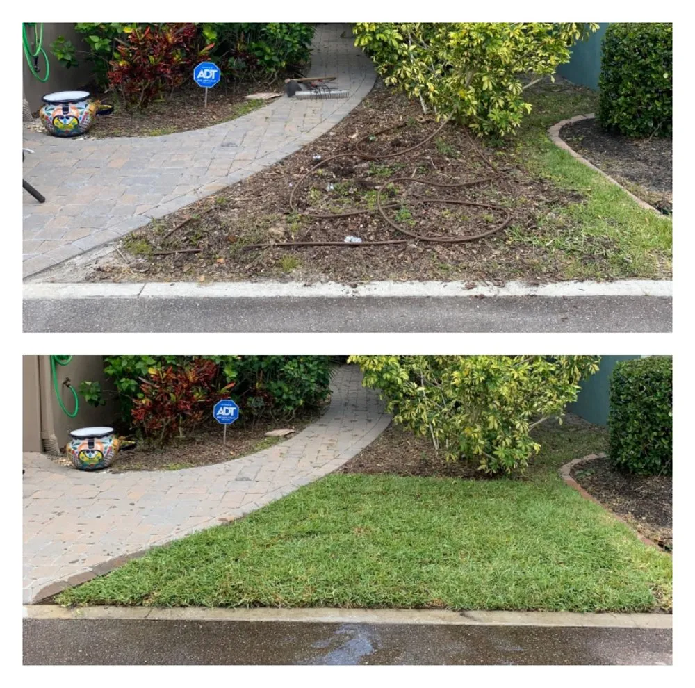 Expert outdoor landscaping in Valrico, FL - Lawn And Order LCU