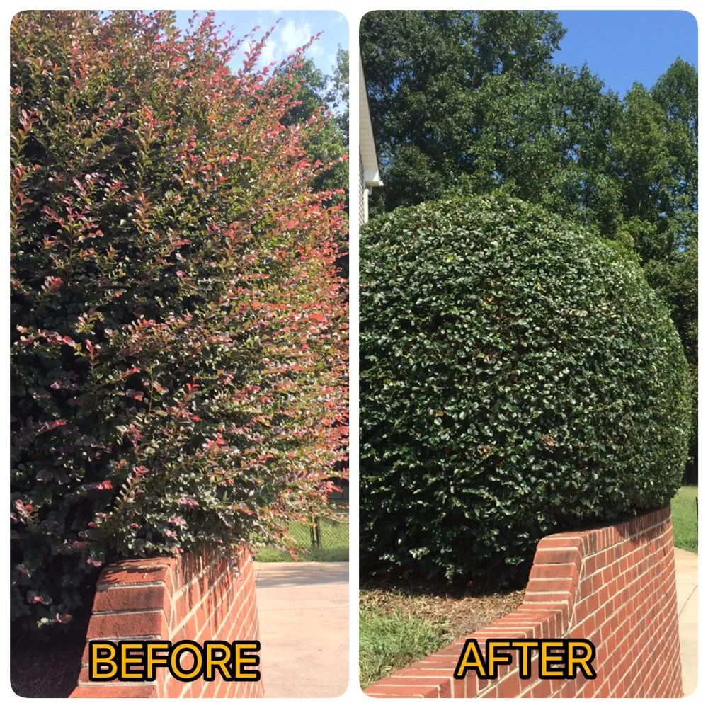 Professional residential landscaping in Lewisville, NC - Lawn and Order