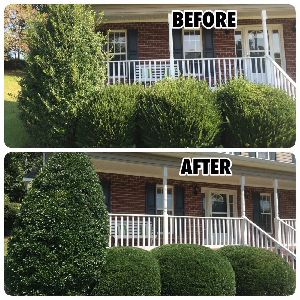 Professional residential landscaping experts serving Lewisville, NC - Lawn and Order