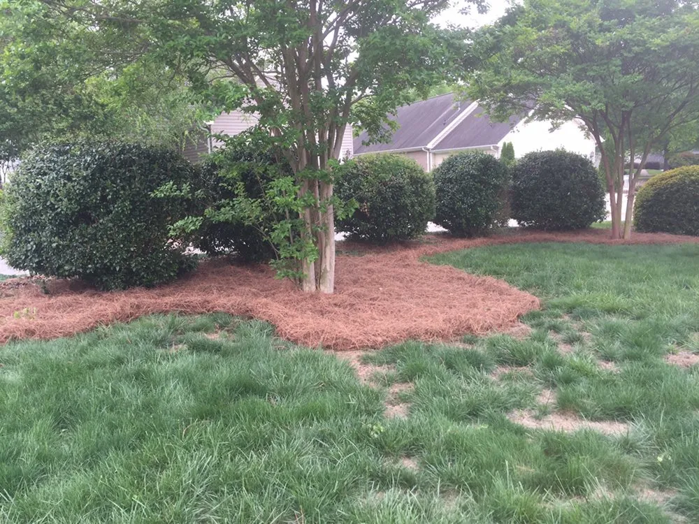 Top-rated yard cleanup service with custom design in Lewisville, NC by Lawn and Order