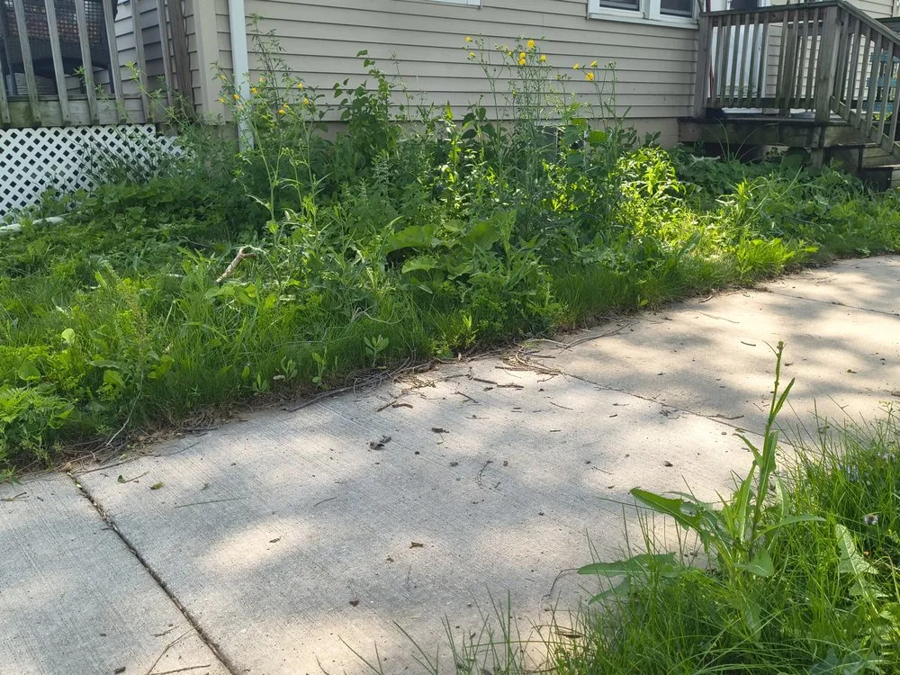 Custom landscape installation near you across Omro, WI - Lawn and Order