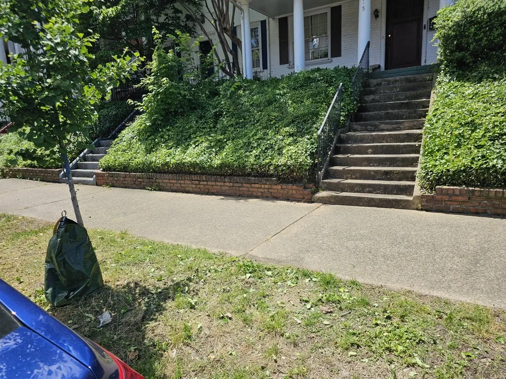 Reliable yard cleanup service near you in Richmond, VA by Lawn And Order RVA