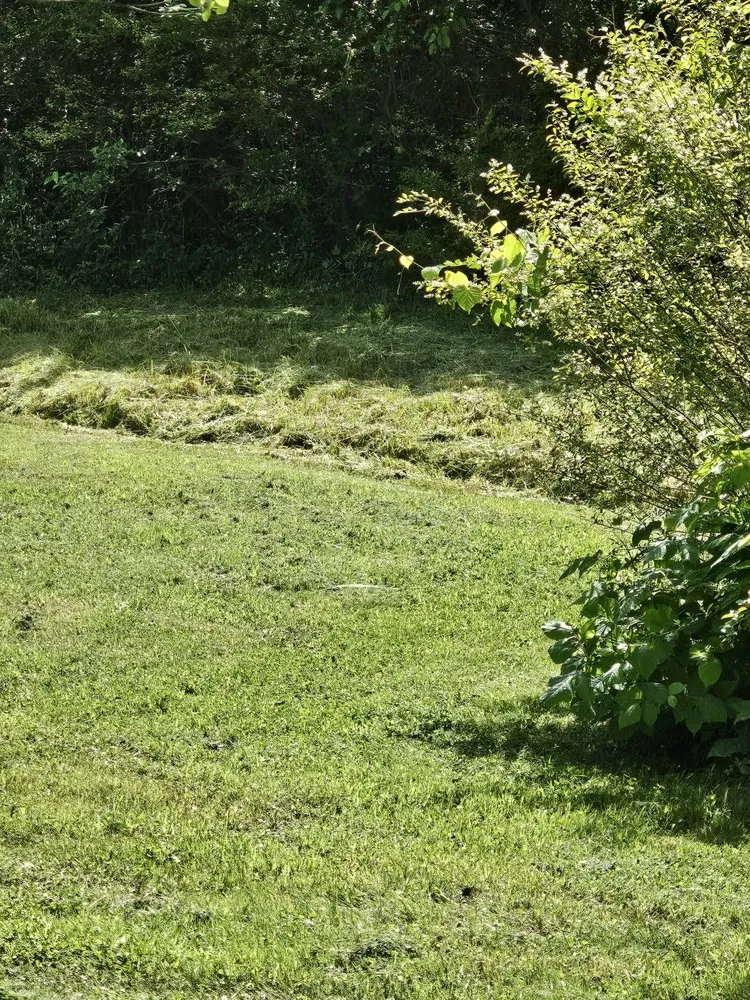 Local yard maintenance experts serving Richmond, VA - Lawn And Order RVA