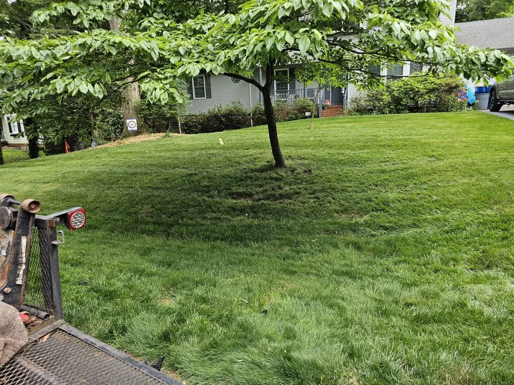 Trusted lawn care service in Richmond, VA - Lawn And Order RVA