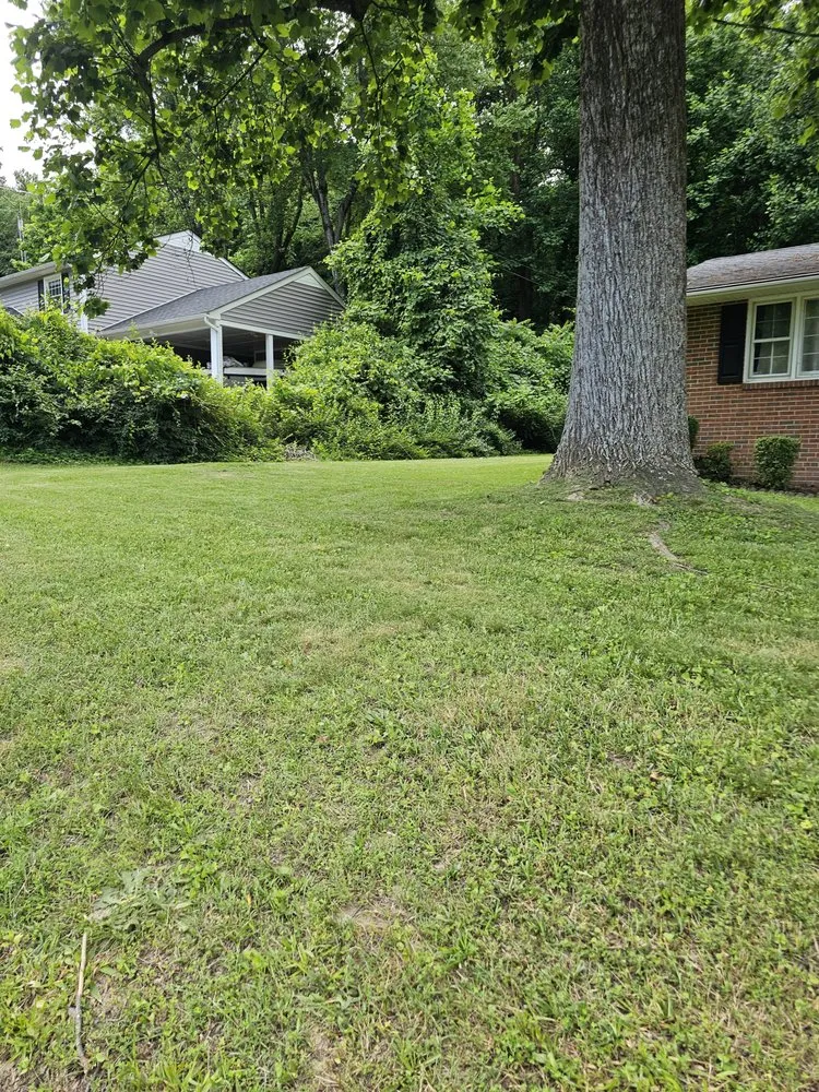 Top-rated residential landscaping in Richmond, VA by Lawn And Order RVA