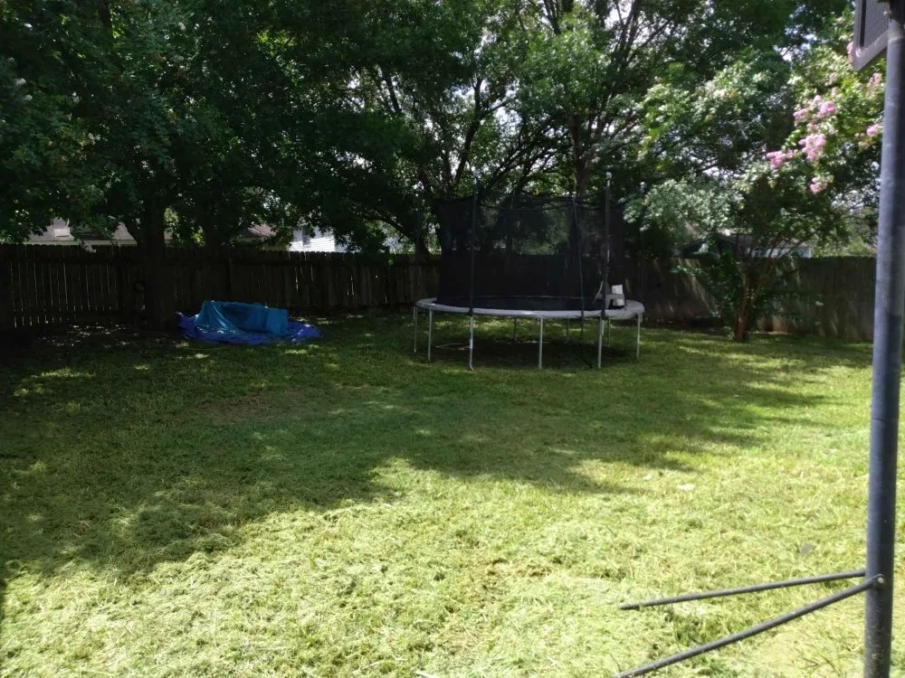 Top-rated landscape installation experts serving San Antonio, TX - Lawn And Order