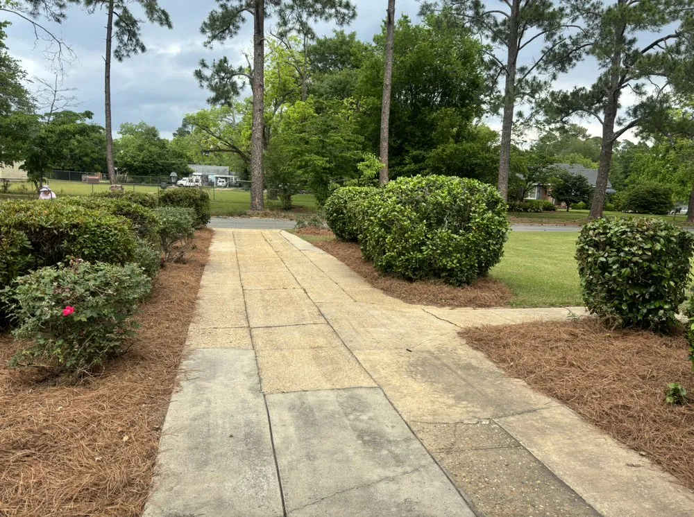 Professional lawn care service experts serving Albany, GA - Lawn And Order Special Mowing Unit