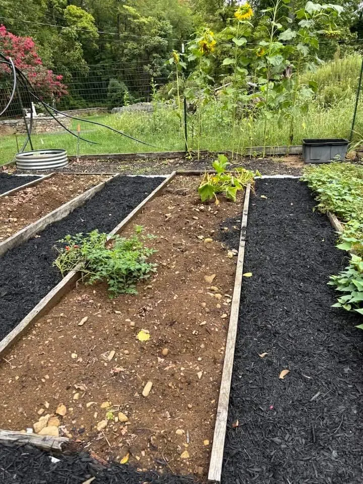 Professional yard cleanup service in Strasburg, VA - Lawn And Order