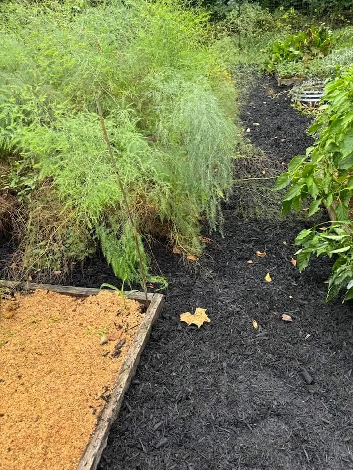 Trusted landscape design in Strasburg, VA - Lawn And Order