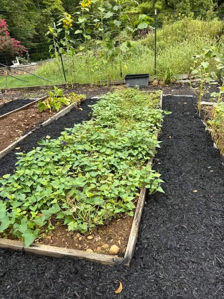 Reliable residential landscaping for year-round maintenance across Strasburg, VA - Lawn And Order