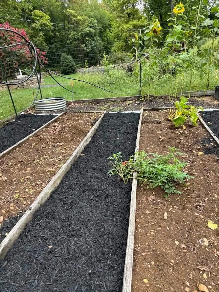 Professional landscape installation in Strasburg, VA by Lawn And Order