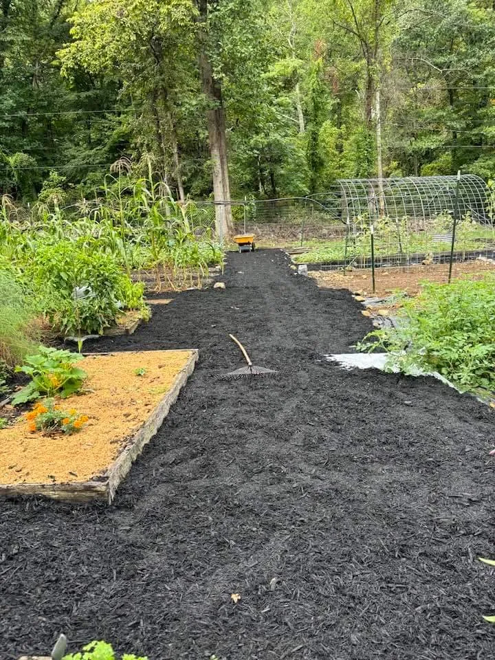 Trusted lawn mowing service experts serving Strasburg, VA - Lawn And Order