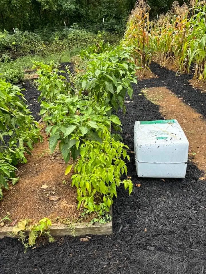 Affordable landscape installation for outdoor upgrades in Strasburg, VA by Lawn And Order