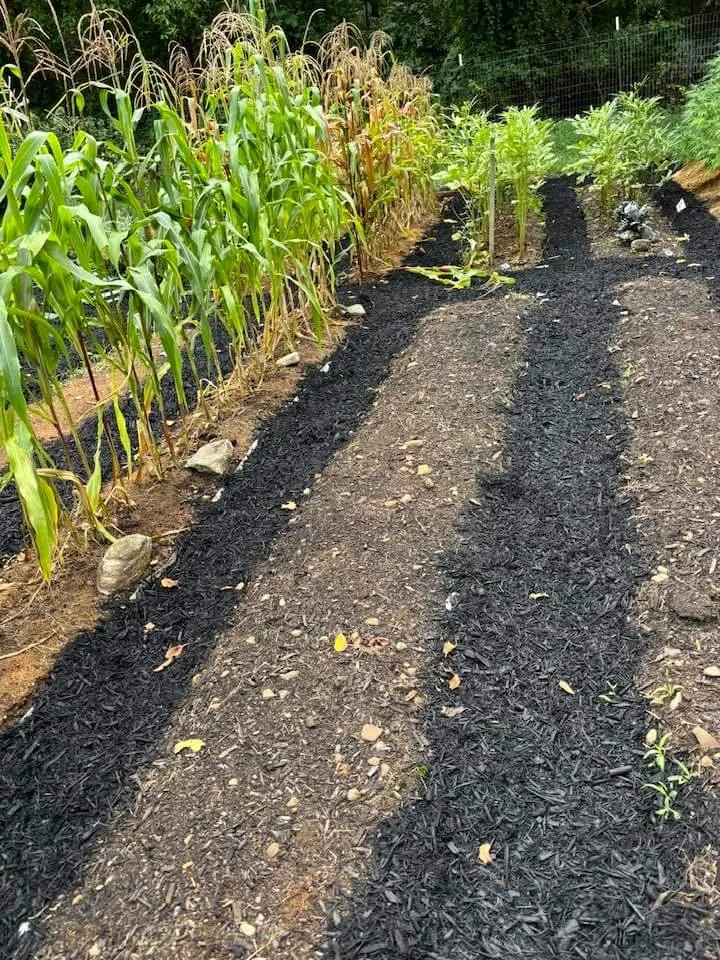 Professional landscaping services for homes across Strasburg, VA - Lawn And Order