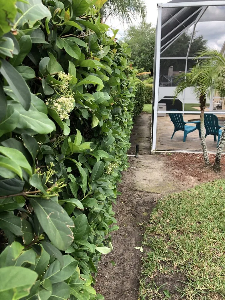 Affordable landscaping services for homes in Valrico, FL by Lawn and Order SVU