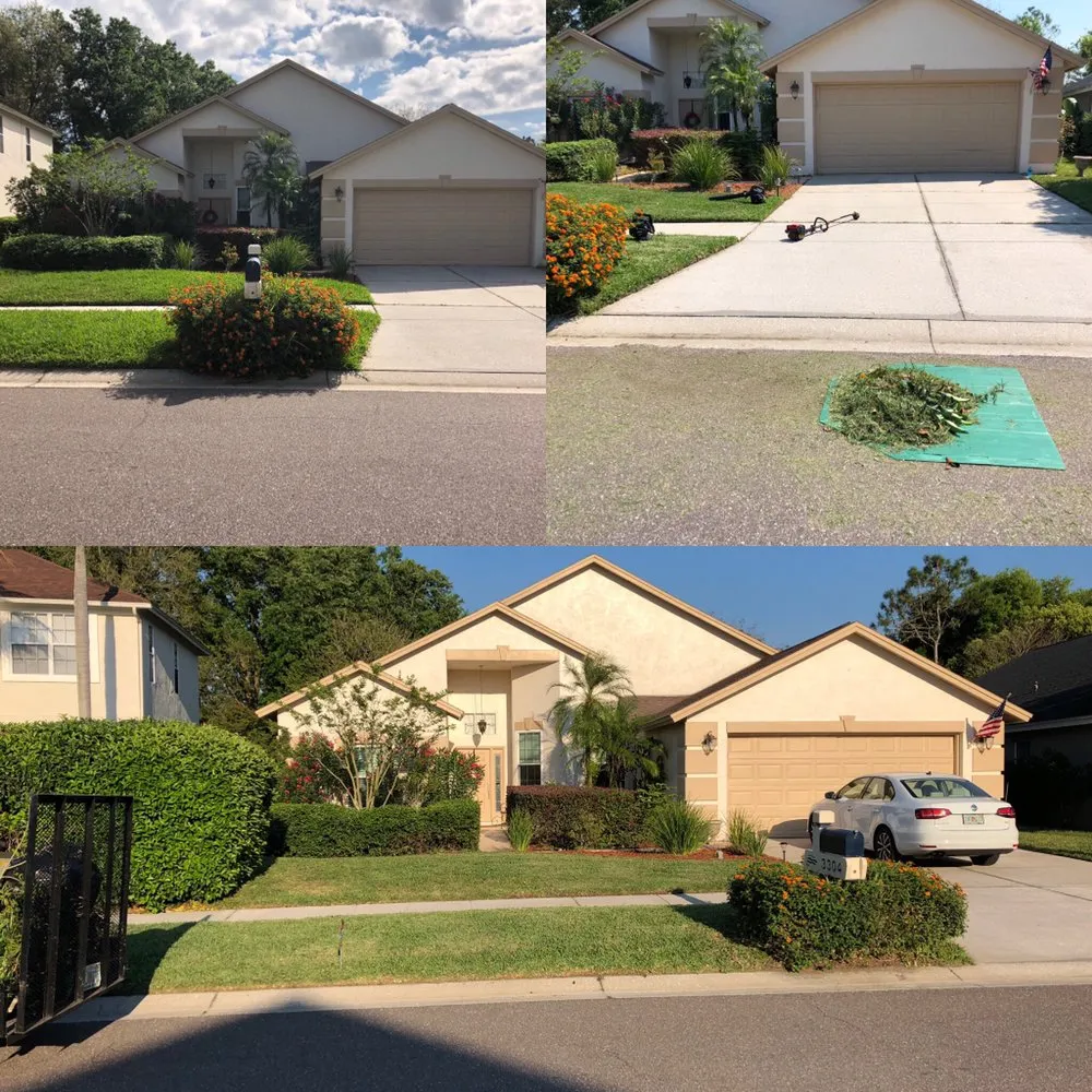 Professional outdoor landscaping with custom design in Valrico, FL by Lawn and Order SVU