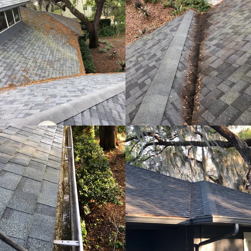 Local yard cleanup service for residential properties in Valrico, FL by Lawn and Order SVU