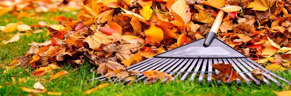 Professional lawn mowing service in Brooklyn Center, MN by Lawn and Order Twin Cities