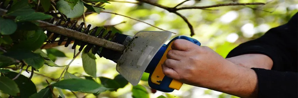 Local yard cleanup service for homes in Brooklyn Center, MN by Lawn and Order Twin Cities