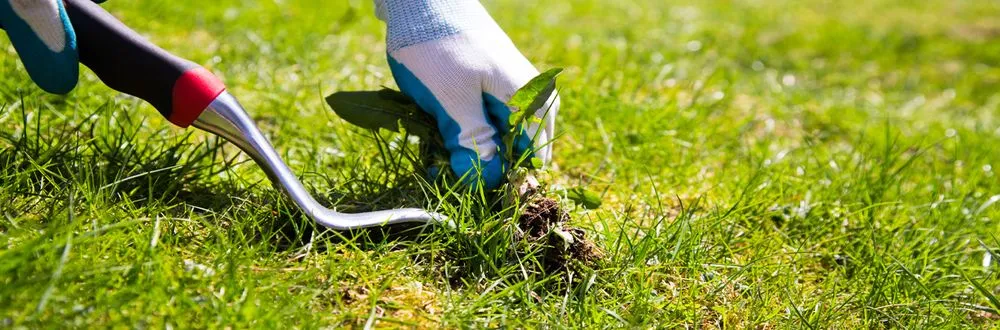 Expert landscape installation for residential properties in Brooklyn Center, MN by Lawn and Order Twin Cities