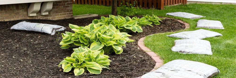 Reliable outdoor landscaping near you across Brooklyn Center, MN - Lawn and Order Twin Cities