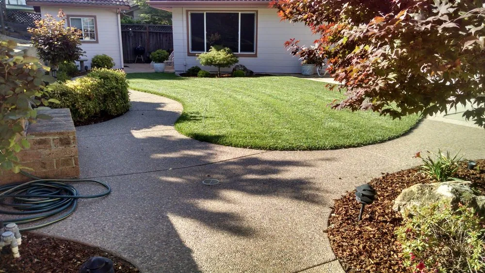 Expert yard cleanup service in San Jose, CA - Lawn and Rototilling Services