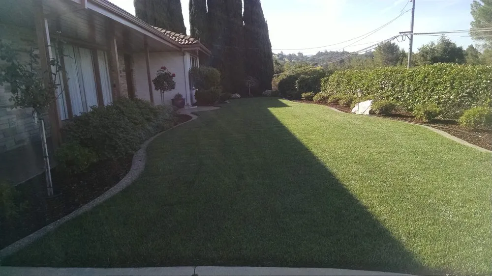 Professional garden landscaping for outdoor upgrades in San Jose, CA by Lawn and Rototilling Services