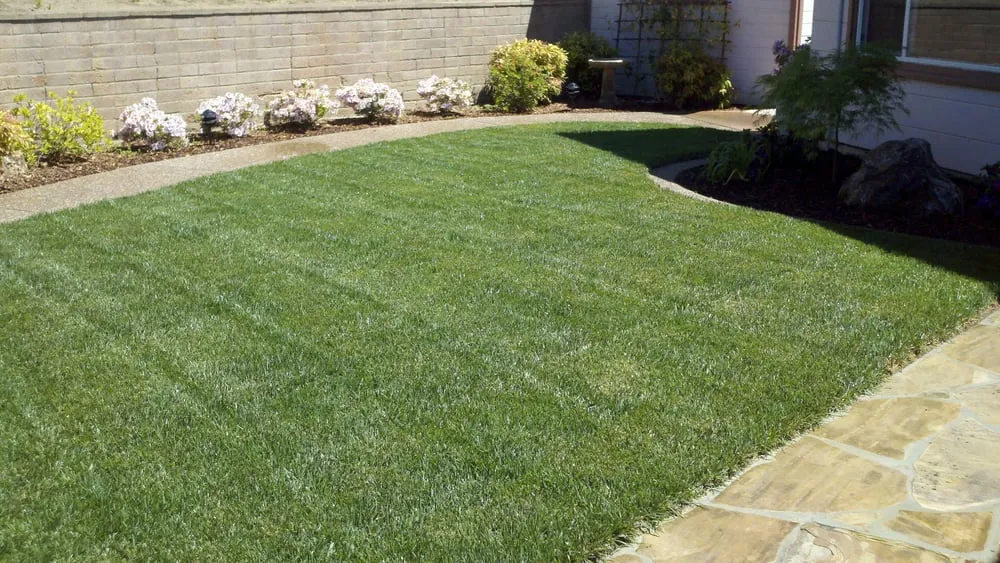 Top-rated lawn mowing service experts serving San Jose, CA - Lawn and Rototilling Services