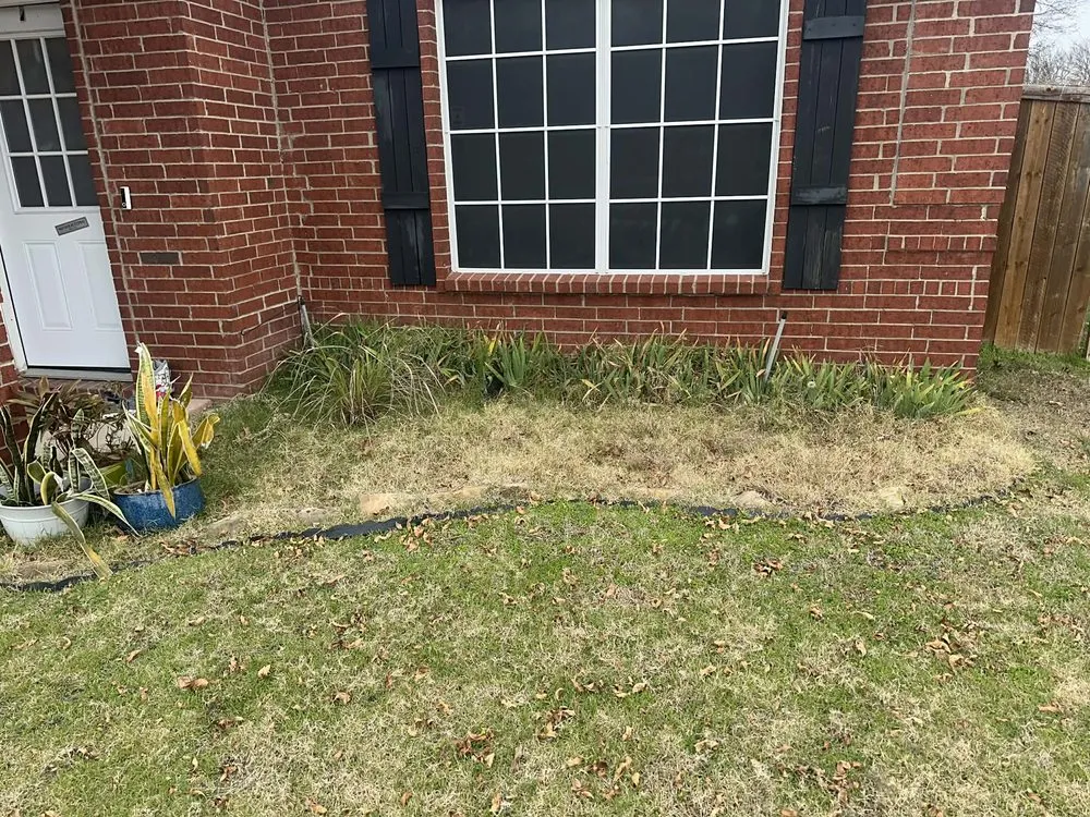 Affordable lawn care service for year-round maintenance across Royse City, TX - Lawn and Shine