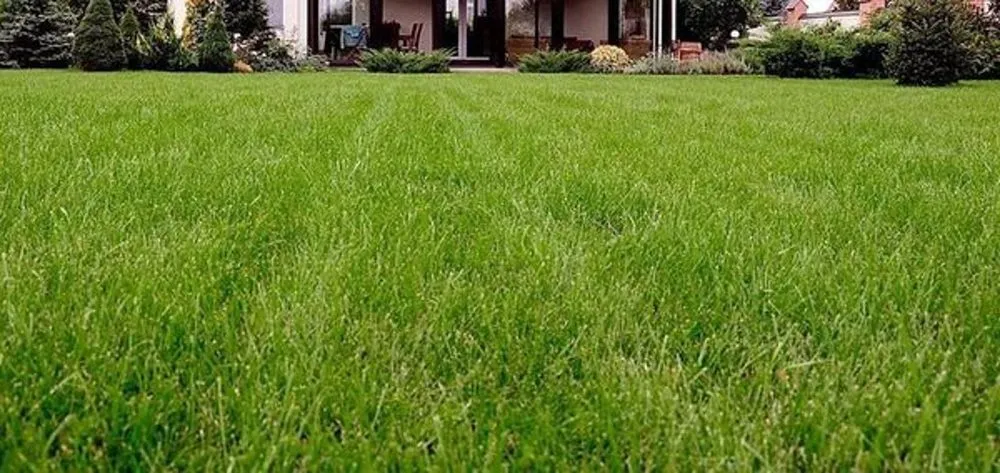 Reliable landscape installation experts serving Glendale, WI - Lawn and Snow Pros