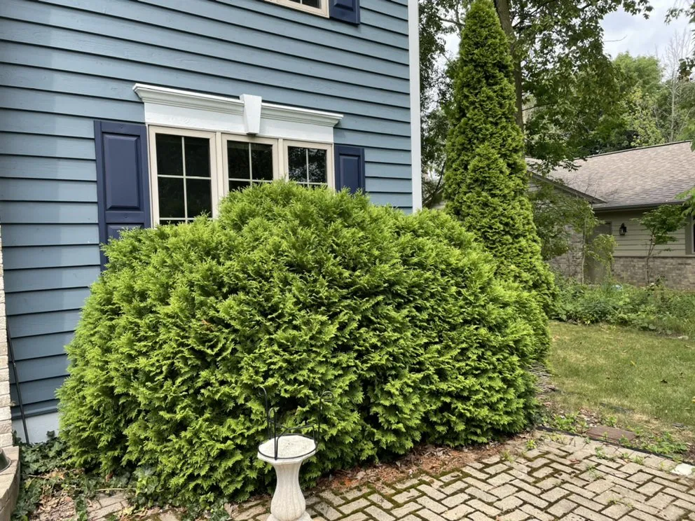 Trusted garden landscaping in Glendale, WI by Lawn and Snow Pros