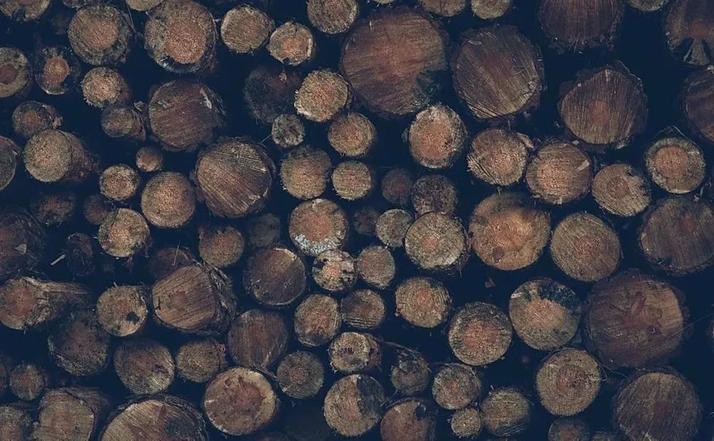 Local yard cleanup service in Glendale, WI by Lawn and Snow Pros