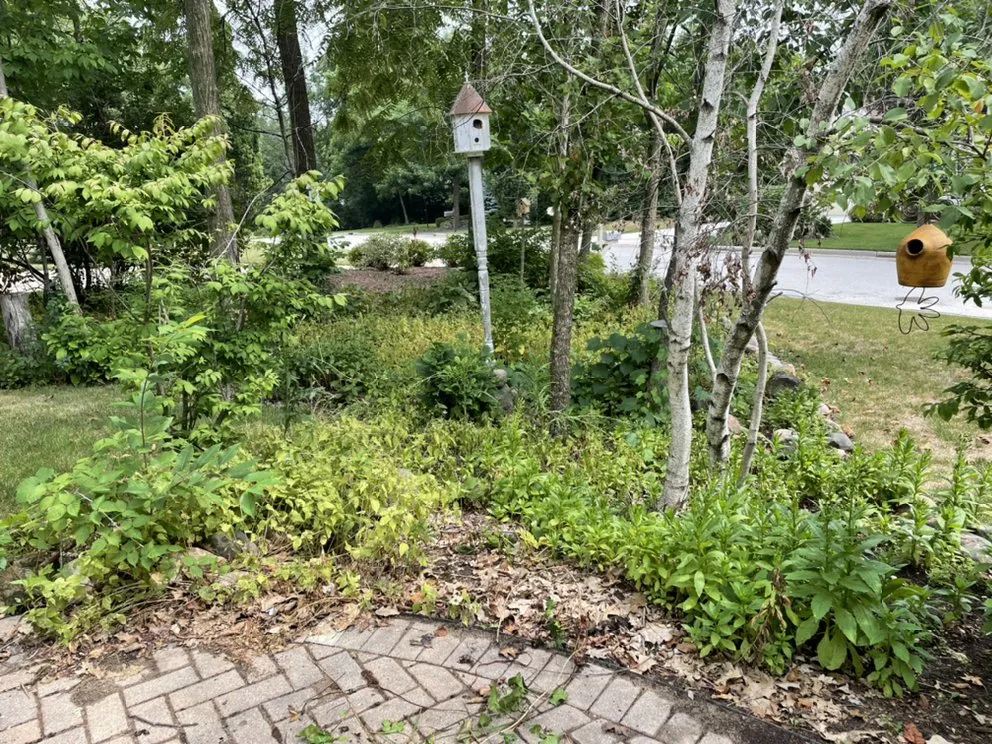 Local lawn care service in Glendale, WI by Lawn and Snow Pros