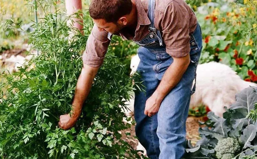 Local garden landscaping with custom design in Glendale, WI by Lawn and Snow Pros