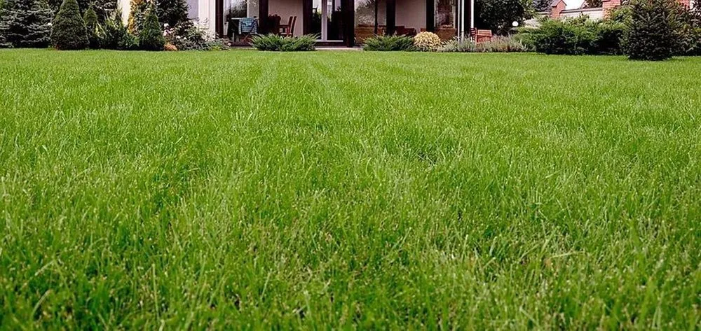 Expert residential landscaping near you across Glendale, WI - Lawn and Snow Pros