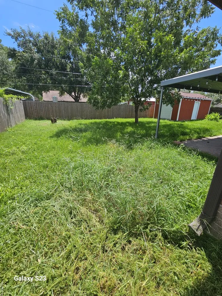 Top-rated landscape design in Crosby, TX - Lawn and stripes