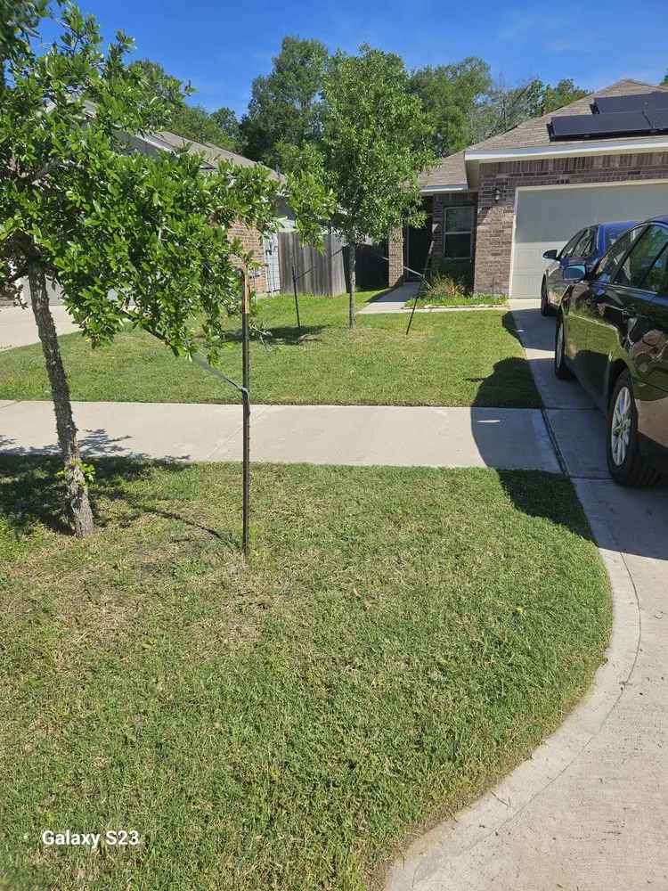 Trusted yard cleanup service for homes in Crosby, TX by Lawn and stripes