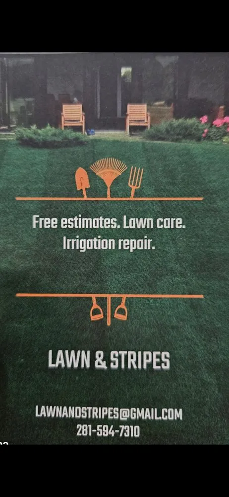 Top-rated yard maintenance in Crosby, TX - Lawn and stripes