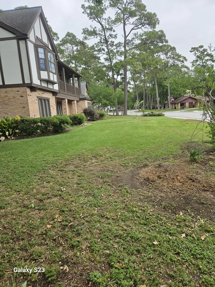 Reliable yard cleanup service for residential properties in Crosby, TX by Lawn and stripes