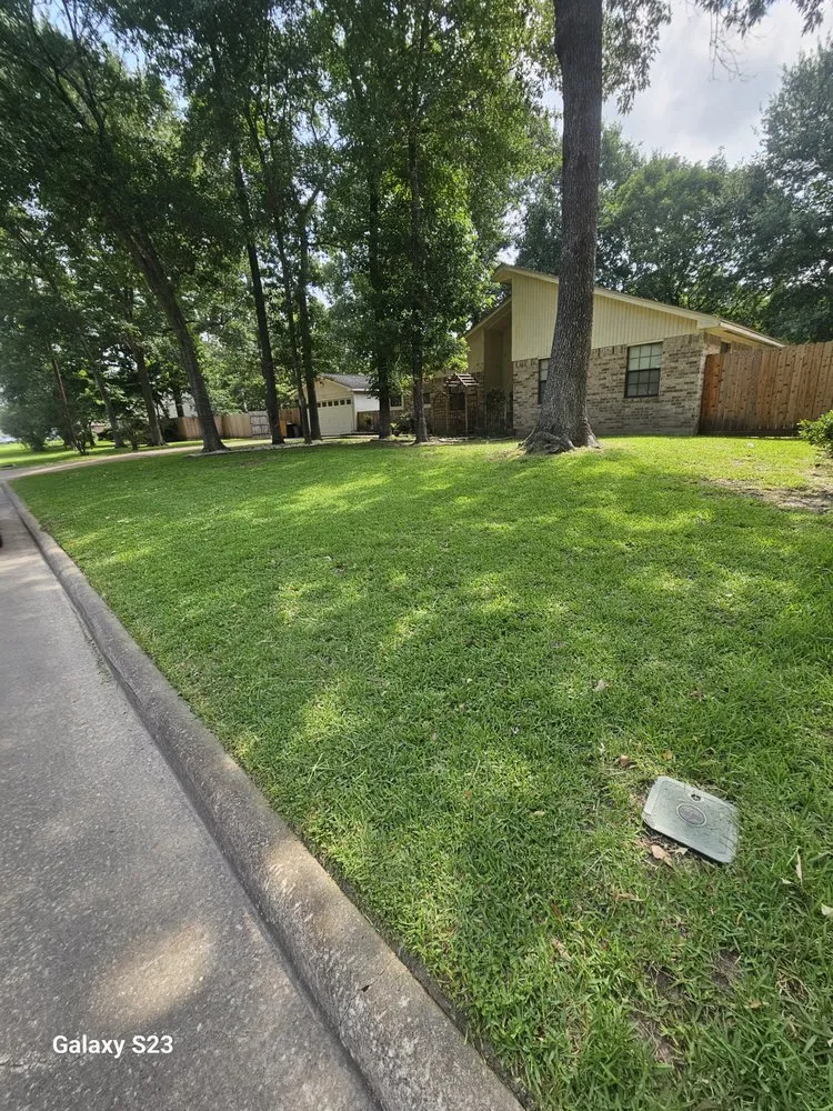 Trusted outdoor landscaping for residential properties across Crosby, TX - Lawn and stripes