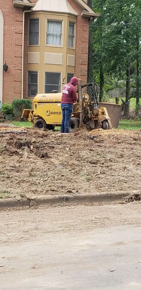 Expert yard cleanup service for beautiful yards in Atlanta, GA by Lawn and Trees R Us