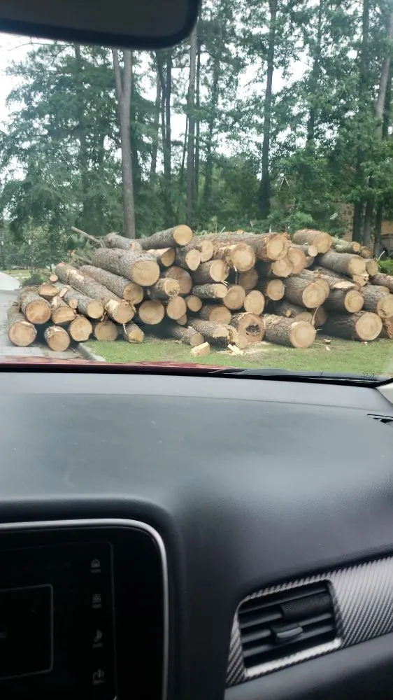 Top-rated landscaping services for year-round maintenance across Atlanta, GA - Lawn and Trees R Us