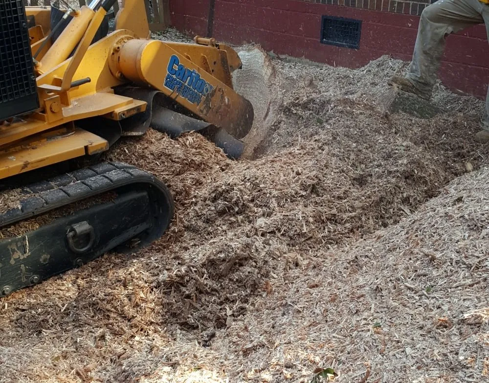 Expert landscape installation in Atlanta, GA - Lawn and Trees R Us