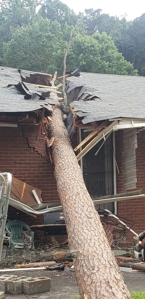 Custom lawn mowing service for homes across Atlanta, GA - Lawn and Trees R Us