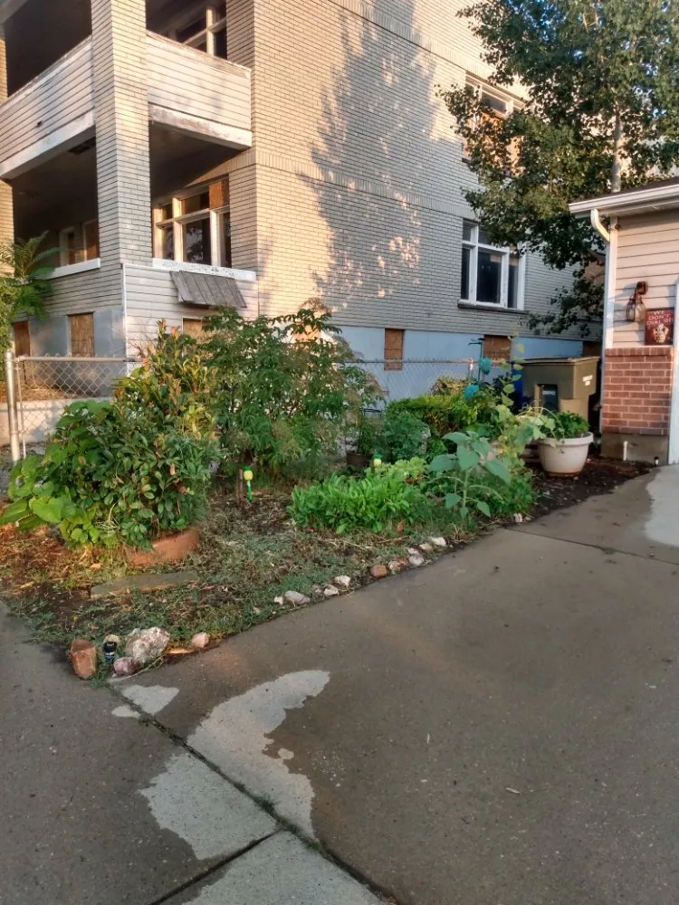 Expert landscape installation in MSC, UT - Lawn and Yard Enforcement