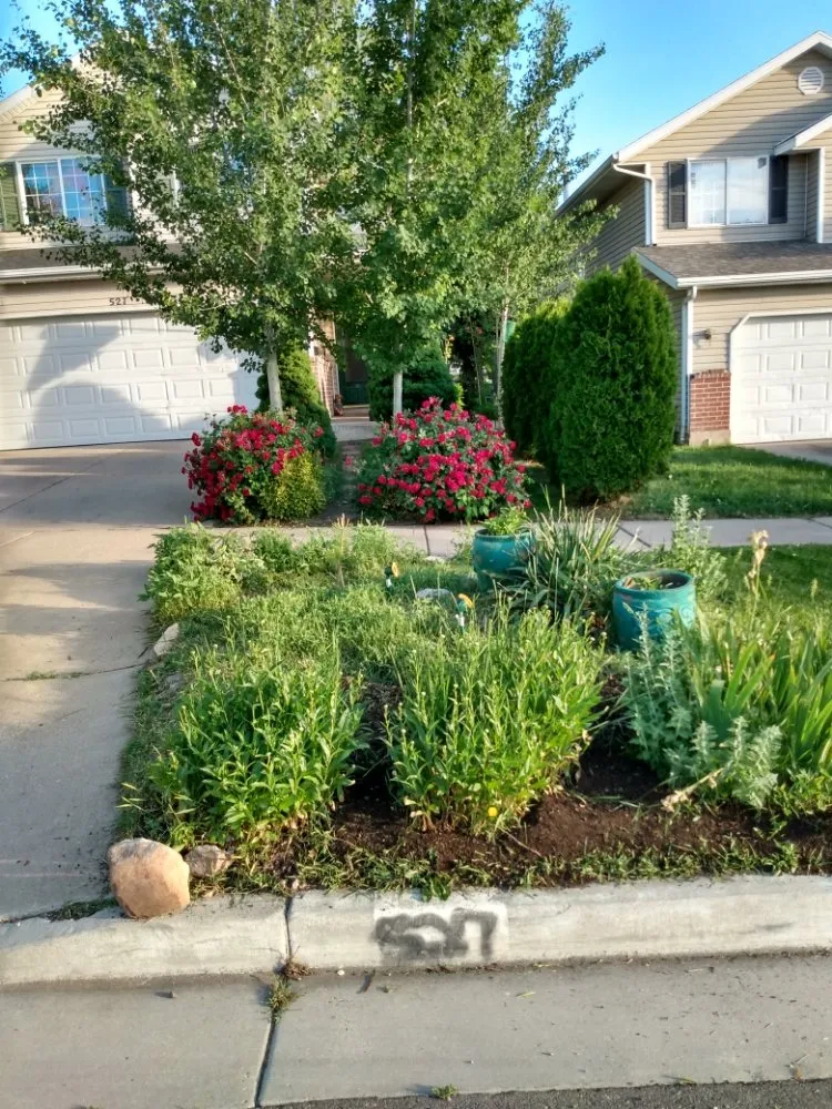 Local lawn care service for beautiful yards across MSC, UT - Lawn and Yard Enforcement