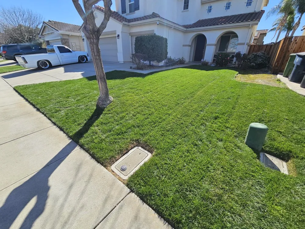 Affordable lawn care service in Tracy, CA by Lawn and Yard Solutions