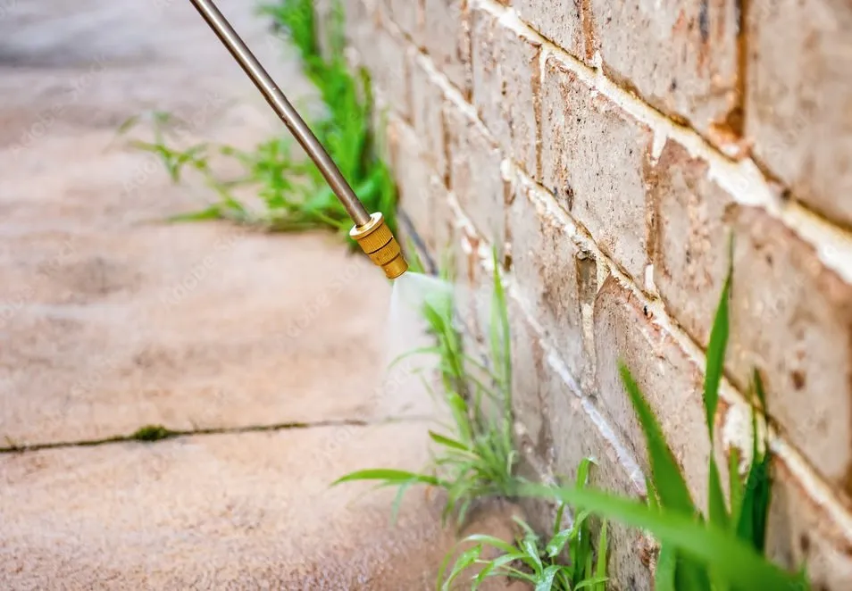 Trusted garden landscaping for residential properties across Tracy, CA - Lawn and Yard Solutions