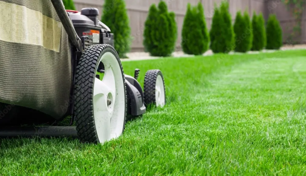 Local residential landscaping experts serving Tracy, CA - Lawn and Yard Solutions