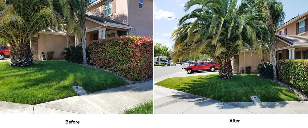 Top-rated landscape installation with custom design across Tracy, CA - Lawn and Yard Solutions